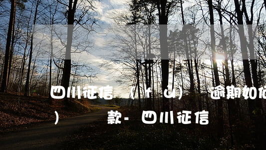 四川征信負(fù)債逾期如何規(guī)劃還款-四川 征信