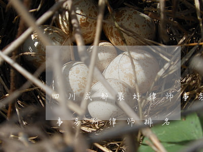四川成都最好律师事务所排名(成都大成律师事务所律师排名)
