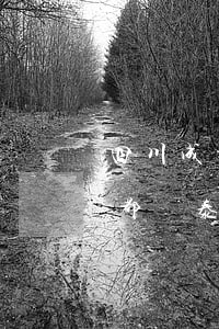 四川成都頂泰律師事務(wù)所周雪蓮(成都頂泰律師事務(wù)所怎么樣)