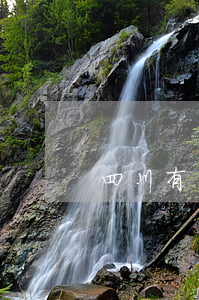 四川有多少律师(四川有名的律师有哪些)