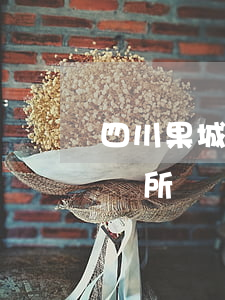 四川果城律師事務所怎么樣(四川果然律師事務所)