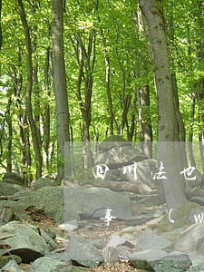 四川法也律師事務(wù)所(四川法也律師事務(wù)所怎么樣)