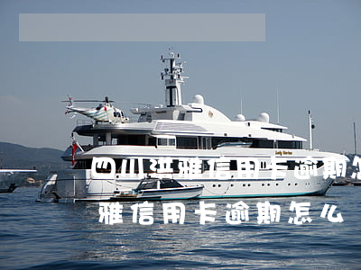 四川洪雅信用卡逾期怎么辦理分期-四川洪雅信用卡逾期怎么辦理分期還款