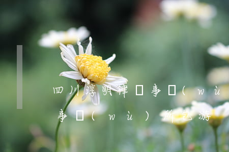 四川淳明律師事務(wù)所(四川淳明律師事務(wù)所包游)