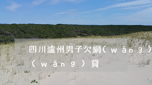 四川瀘州男子欠網(wǎng)貸(小伙欠網(wǎng)貸)