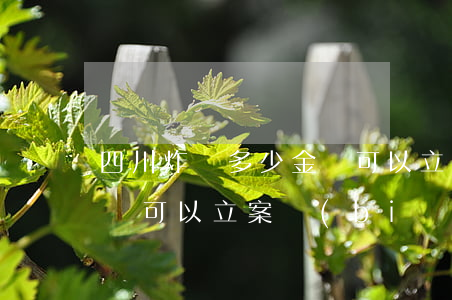 四川炸騙多少金額可以立案(四川詐騙多少金額可以立案標(biāo)準(zhǔn))