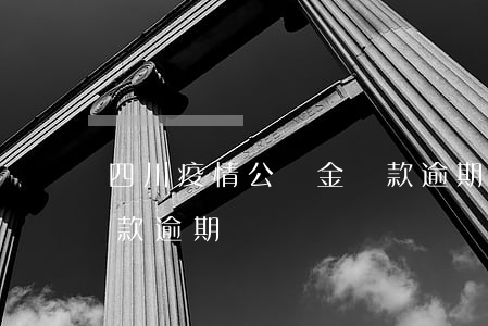 四川疫情公積金貸款逾期(四川疫情公積金貸款逾期)