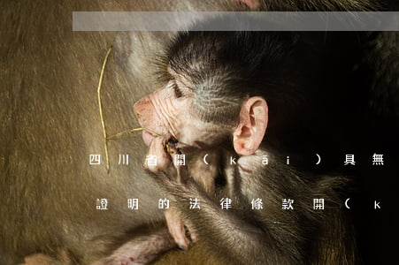 四川省開(kāi)具無(wú)犯罪記錄證明的法律條款(開(kāi)具無(wú)違法犯罪記錄證明的法律規(guī)定)
