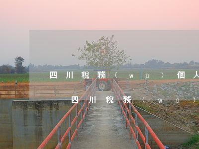 四川稅務(wù)個人所得稅逾期申報流程-四川稅務(wù)個人所得稅逾期申報流程圖