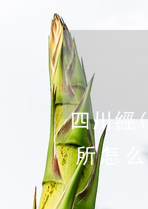 四川經(jīng)緯通律師事務(wù)所怎么樣