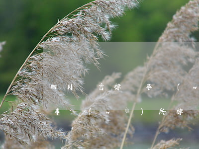 四川義言律師事務(wù)所(四川民慷律師事務(wù)所律師)