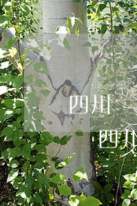 四川藍(lán)潤(rùn)貸款逾期傳聞(四川藍(lán)潤(rùn)地產(chǎn)靠譜嗎)