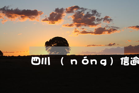 四川農(nóng)信逾期貸款七天