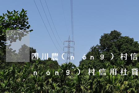 四川農(nóng)村信用社貸款(四川農(nóng)村信用社貸款需要什么條件)