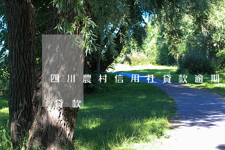 四川農村信用社貸款逾期(四川省農村信用社貸款)