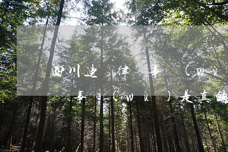 四川迪揚律師事務(wù)所怎么樣(迪揚律師事務(wù)是真的嗎)