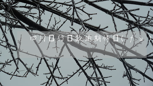 四川銀行貸款逾期修復(fù)
