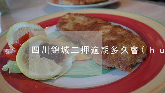 四川錦城二押逾期多久會(huì)被起訴