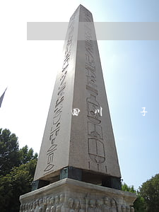 四川電子眼(四川電子眼查詢電話)