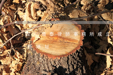 四川頂泰律師事務所成立(四川鼎立律師事務所地址)