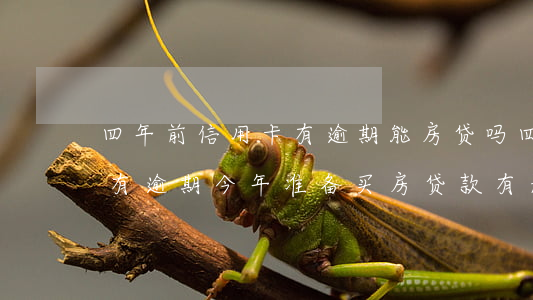 四年前信用卡有逾期能房贷吗(四年前信用卡有逾期,今年准备买房,贷款有影响吗?)