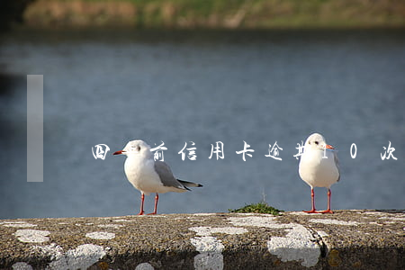 四年前信用卡逾期10次房貸