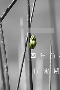 四年前有信用卡逾期可以贷款吗(四年前征信有逾期可以贷款吗)