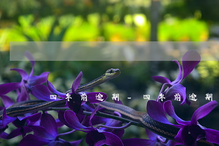 四年前逾期-四年前逾期两次能房贷款吗