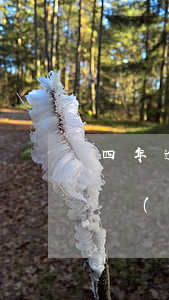 四年逾期信用卡怎么還(四年前信用卡逾期的現(xiàn)在還可以辦信用卡嗎)