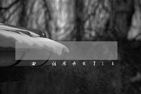 四張信用卡欠了18萬