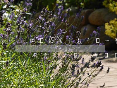四張信用卡欠十萬一年沒還怎么辦-四張信用卡欠十萬一年沒還怎么辦呢