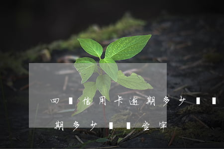 四張信用卡逾期多少錢會坐牢(四張信用卡逾期多少錢會坐牢)