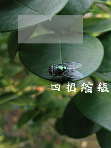 四招缩短基金赎回时间