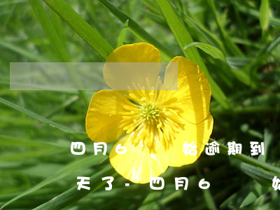 四月6號開始逾期到現(xiàn)在多少天了-四月6號開始逾期到現(xiàn)在多少天了呢