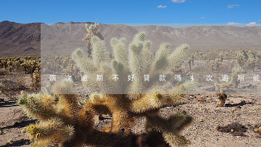 四次逾期不好貸款嗎(4次逾期能貸款買房嗎)