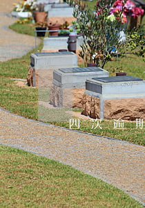 四次逾期還能貸款嗎(逾期4次貸款辦下來了)