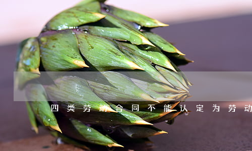 四类劳动合同不能认定为劳动关系