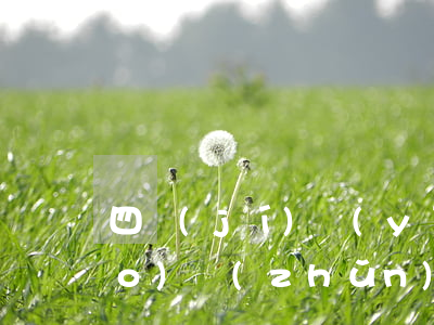 四級(jí)醫(yī)療事故標(biāo)準(zhǔn)是怎樣的呢