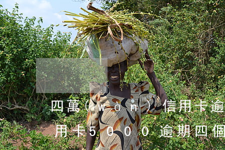 四萬(wàn)信用卡逾期半年怎么辦(欠信用卡5000逾期四個(gè)月怎么辦)