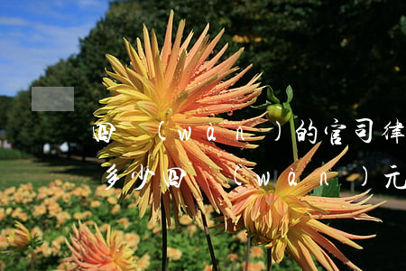 四萬(wàn)的官司律師收費(fèi)多少(四萬(wàn)元官司律師費(fèi)大概多少)