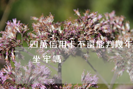 四萬信用卡不還能判幾年(信用卡4萬逾期會坐牢嗎)
