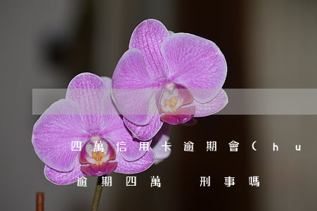 四萬信用卡逾期會(huì)怎么辦(信用卡逾期四萬夠刑事嗎)