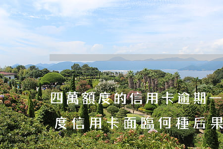 四萬額度的信用卡逾期一年，逾期一年，四萬額度信用卡面臨何種后果？