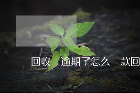 回收寶逾期了怎么還款(回收寶如何退回)