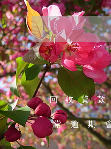 回收貸款逾期會怎么樣(房貸經(jīng)常逾期會收回貸款嗎)