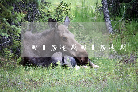 回遷房逾期(回遷房逾期)