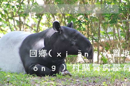 回鄉(xiāng)置地可行嗎？在農(nóng)村購買房屋有哪些法律風(fēng)險