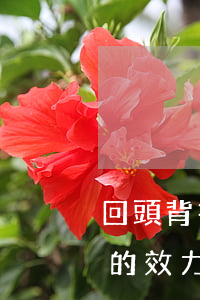 回頭背書(shū)及回頭背書(shū)的效力