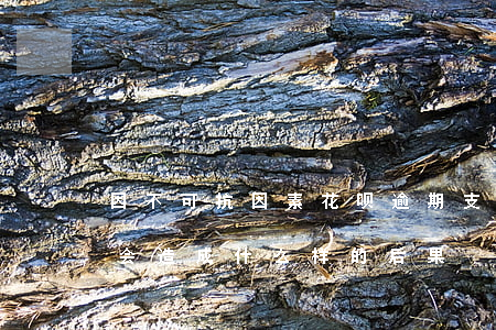 因不可抗因素花呗逾期(支付宝花呗逾期不还会造成什么样的后果)