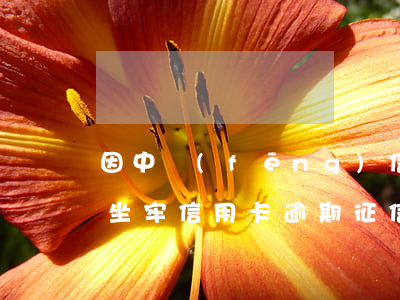 因中風(fēng)信用卡逾期會坐牢嗎(因坐牢信用卡逾期征信)